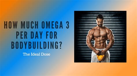 how much omega 3 per day bodybuilding